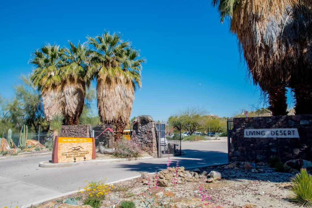 Ogród botaniczny i zoologiczny Living Desert